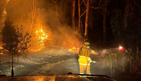 The fire burned approximately 40 hectares